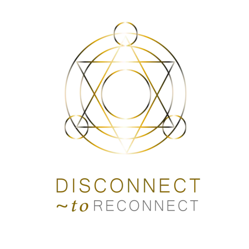 Disconnect To Reteat Logo