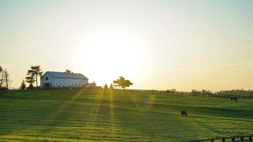Farm on a Hill Image - Fruition Osteopathy