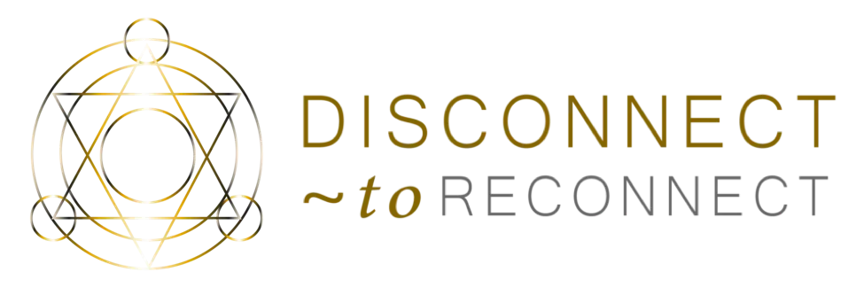 Disconnect to Reconnect logo